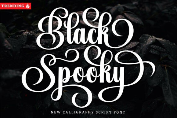 Black Spooky: A Calligraphy Script Font That Transforms Design