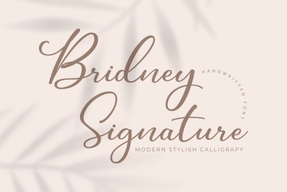 Bridney Signature: A Romantic Handwritten Font for Creative Projects