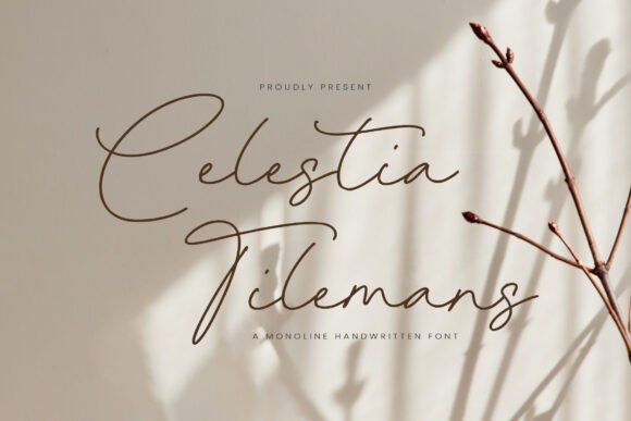 Celestia Tilemans: A Font That Elevates Your Design